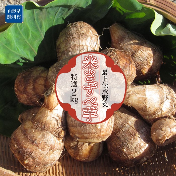 最上伝承野菜 米さずべ芋(特選)2kg