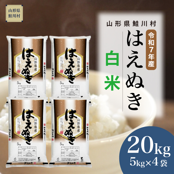 ＜令和7年産米＞ はえぬき 【白米】 20kg （5kg×4袋） 《配送時期指定可》