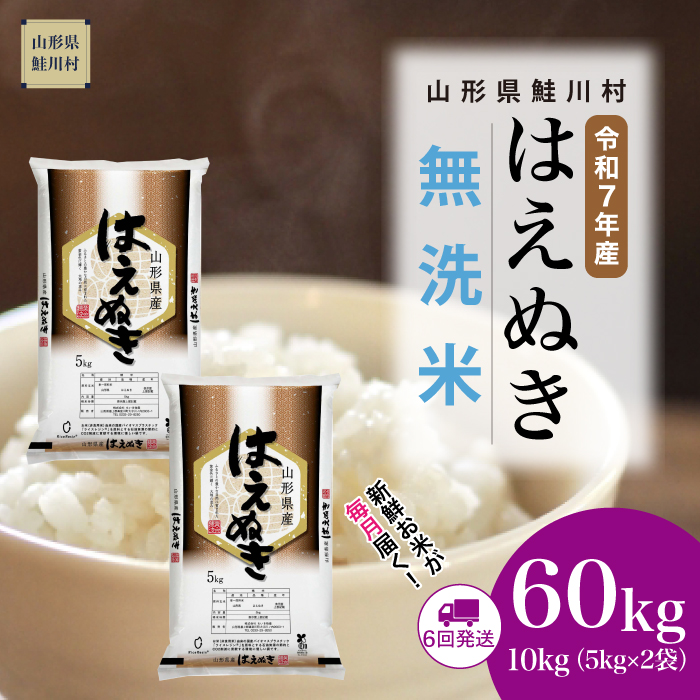 ＜令和7年産米＞ はえぬき 【無洗米】60kg定期便(10kg×6回)　《配送時期指定可》