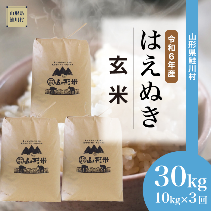 [令和6年産米 配送時期指定できます!] はえぬき[玄米]30kg 定期便 (10kg×3回) 鮭川村