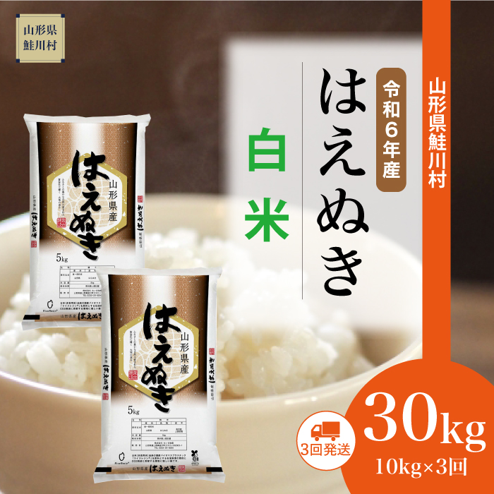 [令和6年産米 配送時期指定できます!] はえぬき[白米]30kg定期便 (10kg×3回) 鮭川村