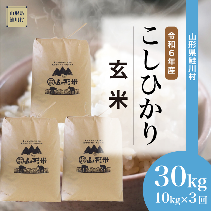 [令和6年産米 配送時期指定できます!] コシヒカリ[玄米]30kg 定期便 (10kg×3回) 鮭川村