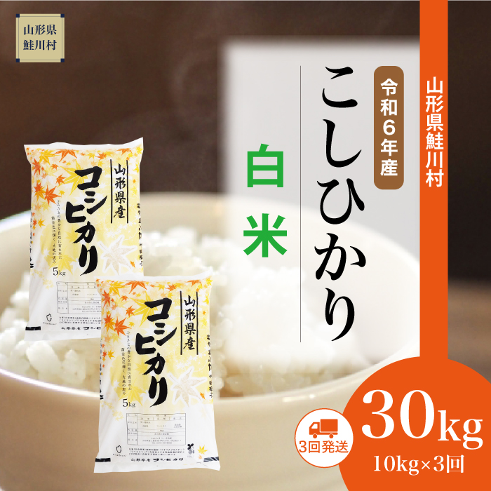 [令和6年産米 配送時期指定できます!] コシヒカリ[白米]30kg定期便 (10kg×3回) 鮭川村