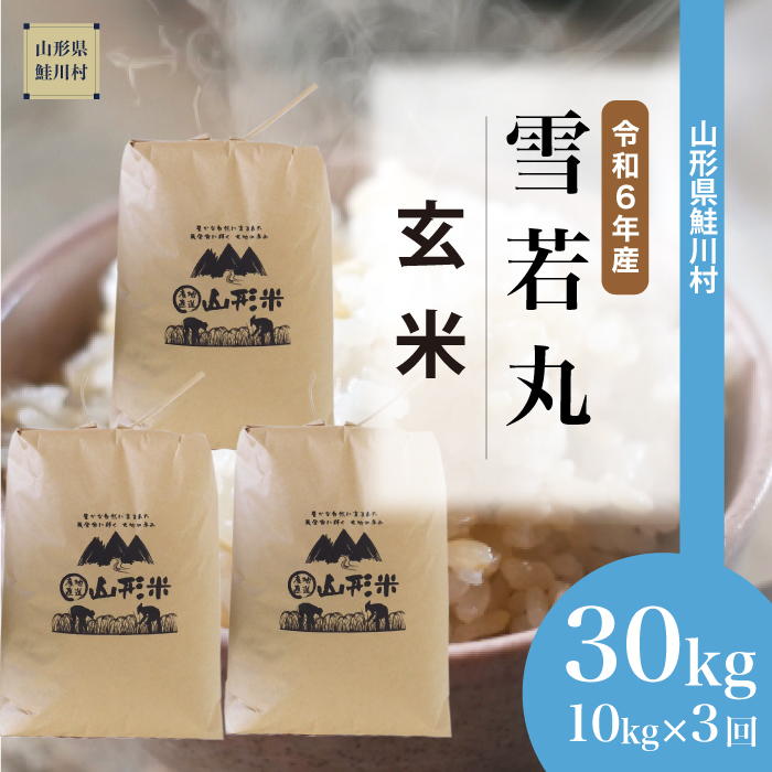 [令和6年産米 配送時期指定できます!] 雪若丸[玄米]30kg 定期便 (10kg×3回) 鮭川村