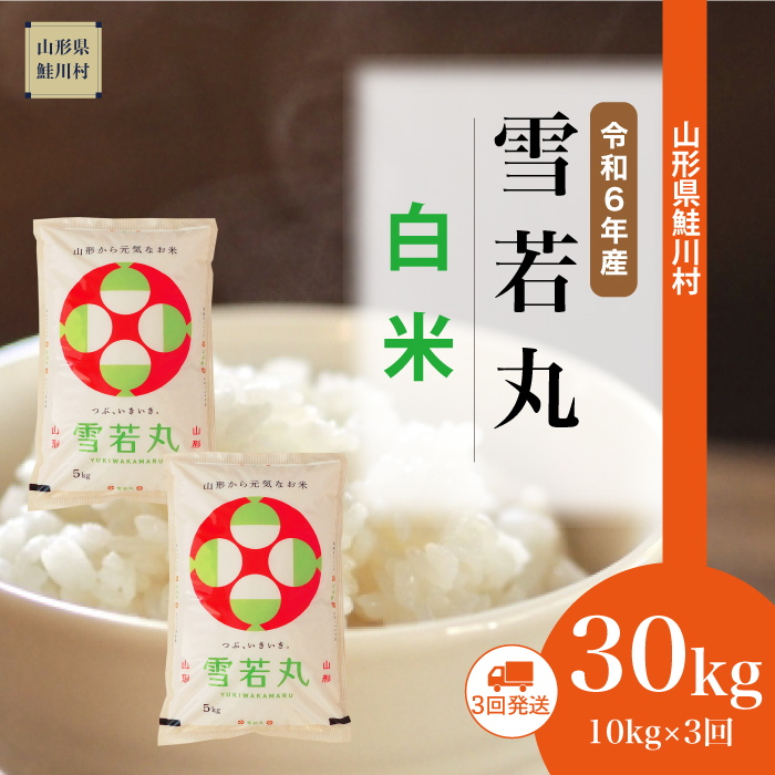 [令和6年産米 配送時期指定できます!] 雪若丸[白米]30kg定期便 (10kg×3回) 鮭川村