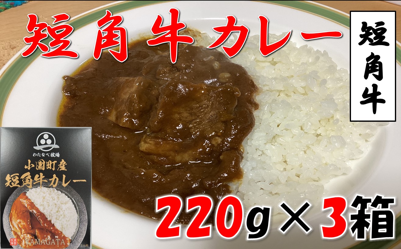 山形県小国町産短角牛カレー　3個セット