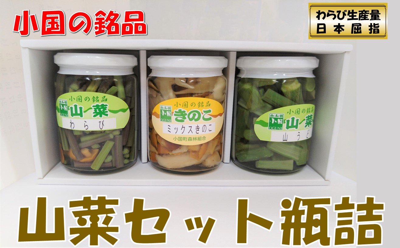 山形県小国町産山菜セット(わらび・山うど・ミックスきのこ瓶詰)