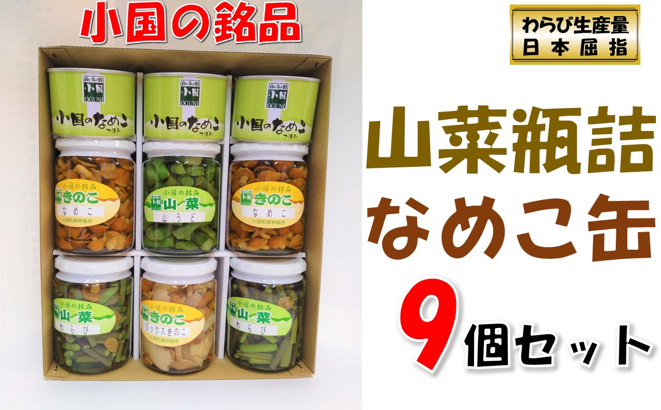 山形県小国町産山菜セット(なめこ缶つぼみ3缶・わらび2瓶・なめこ2瓶・山うど・ミックスきのこ瓶)