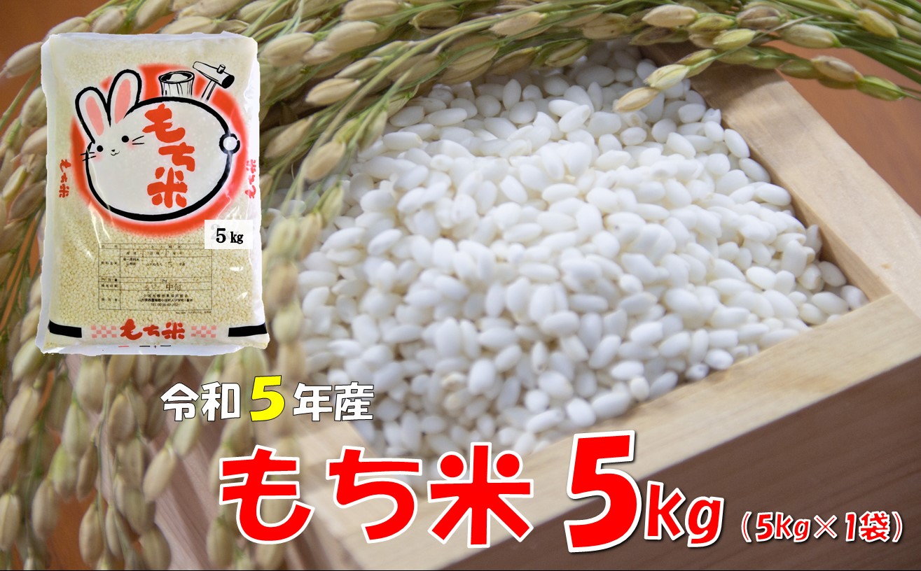 山形県小国町産 もち米5kg