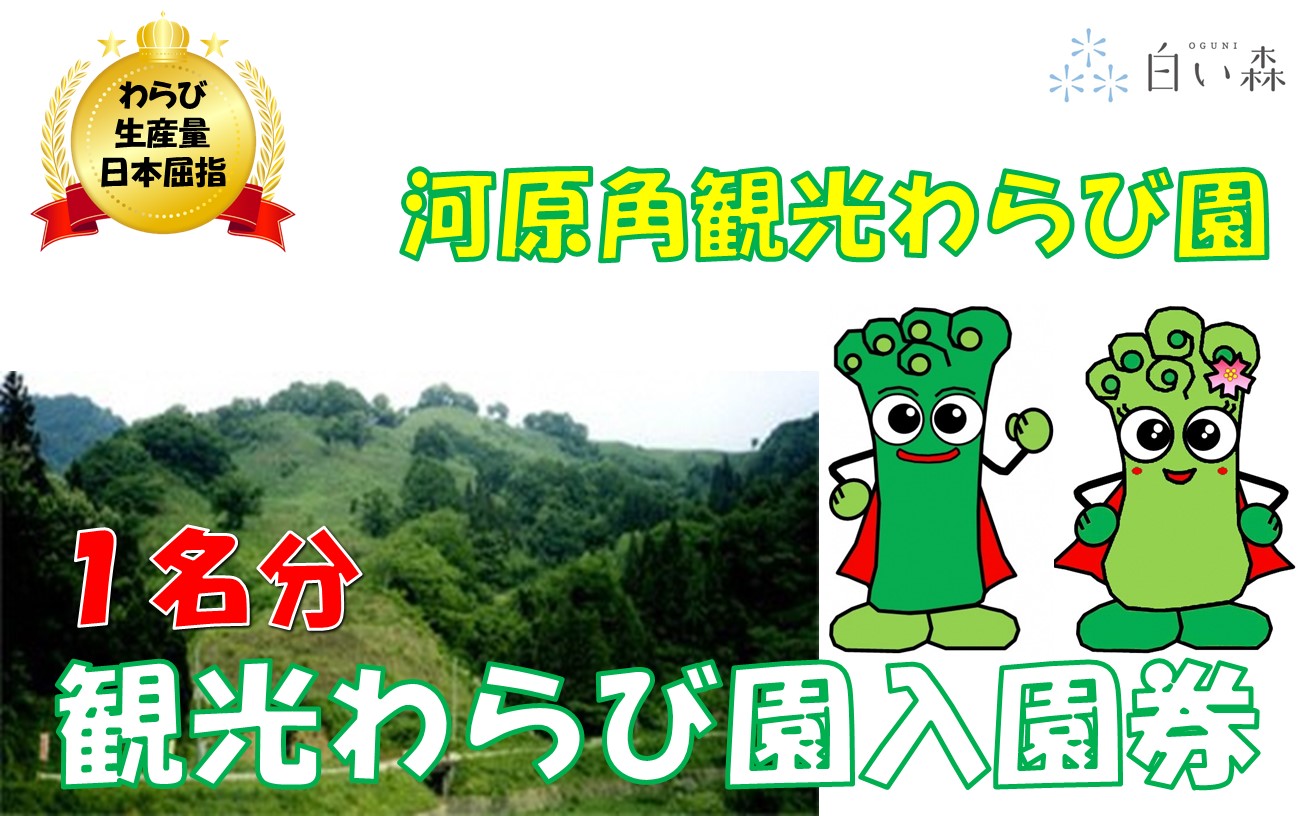 河原角観光わらび園入園券（1名様分）