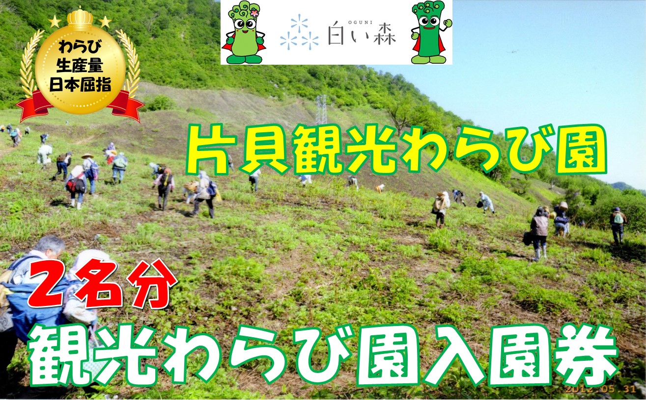 片貝観光わらび園入園券（２名様分）