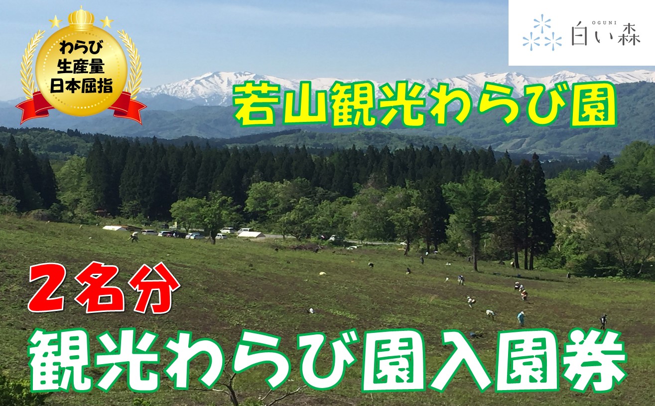 若山観光わらび園入園券（２名様分）