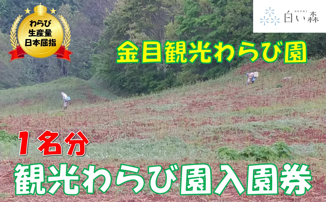 金目観光わらび園入園券（１名様分）