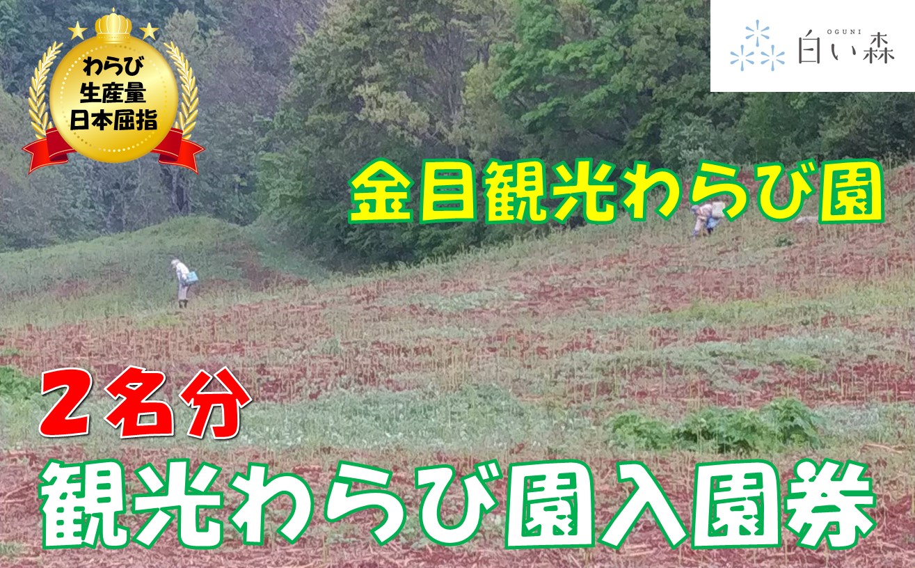 金目観光わらび園入園券（２名様分）