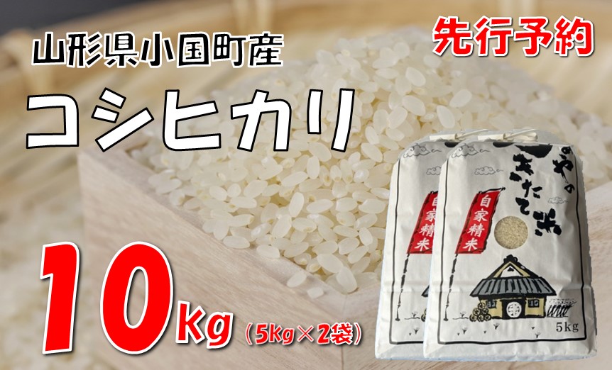 【令和7年新米  先行予約】コシヒカリ10kg(5kg×2袋)