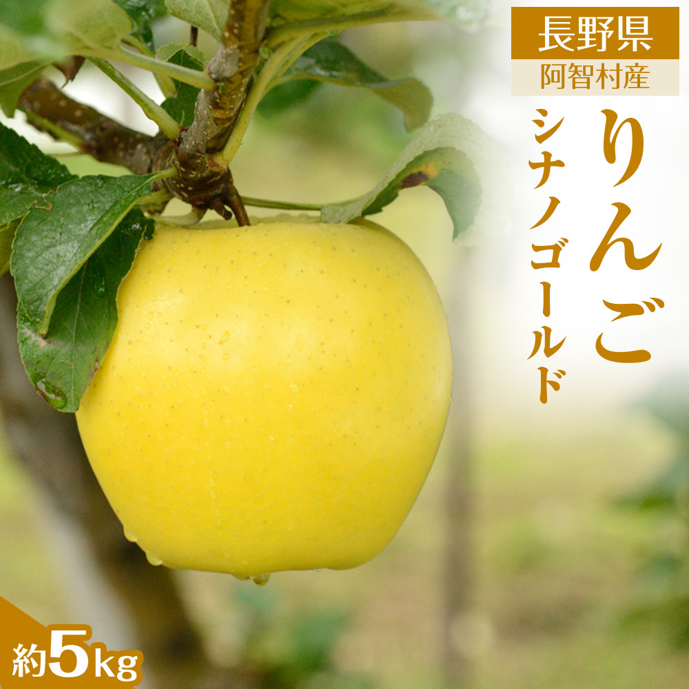 【令和7年11月上旬～順次発送】南信州阿智村　りんご（シナノゴールド）約5kg｜  果物 フルーツ 林檎 リンゴ 信州 長野