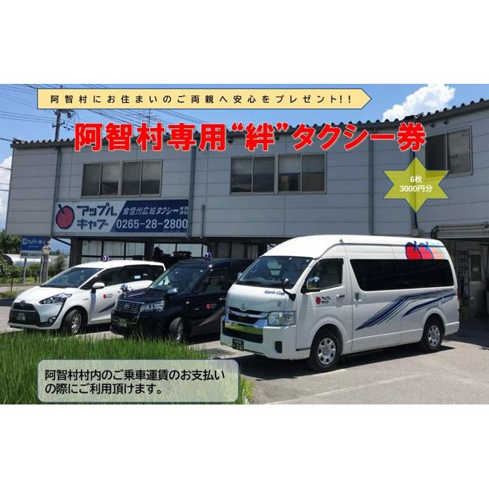 チケット タクシー券 阿智村専用 ( 500円分 × 6枚 )