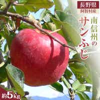 【令和7年12月上旬～順次発送】南信州 阿智村 りんご「サンふじ」約5kg｜  果物 フルーツ 林檎 リンゴ 信州 長野