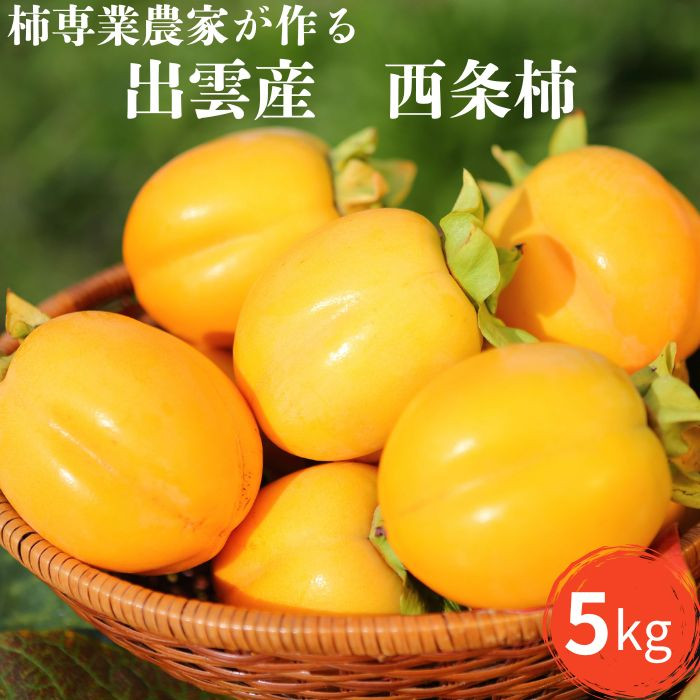 【柿専業の農家が作る】出雲産西条柿 5kg