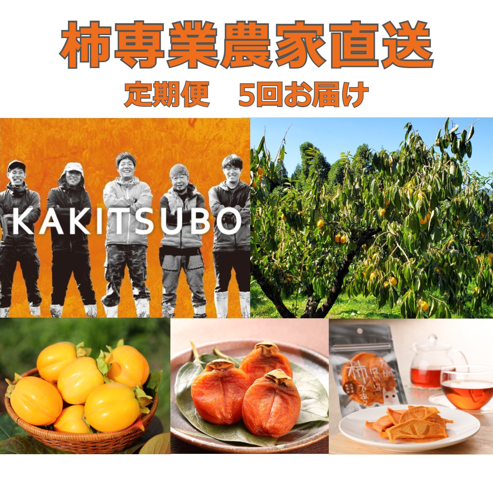 【定期便】【柿専業の農家が作る】3種の採れたて柿とスイーツセット