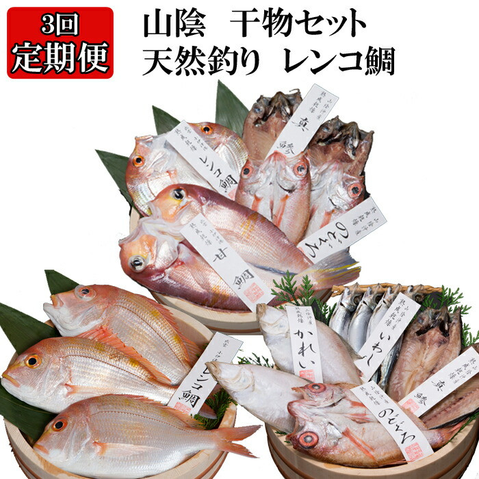 【定期便3回】風味豊かな出雲のお魚詰合せをお届けします！