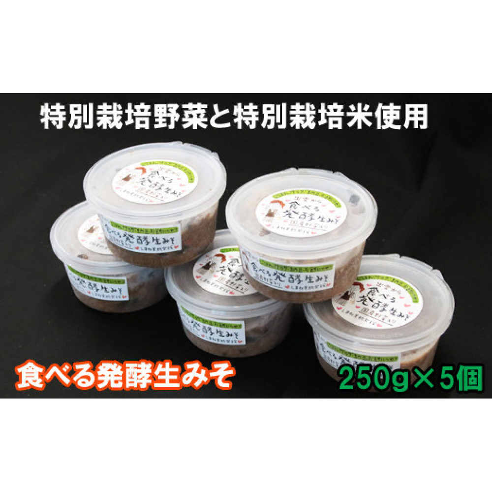 出雲の食べる発酵生みそ250ｇ×５個