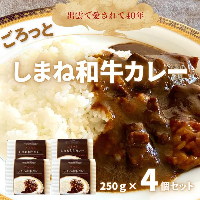ごろっとしまね和牛カレー　4食セット