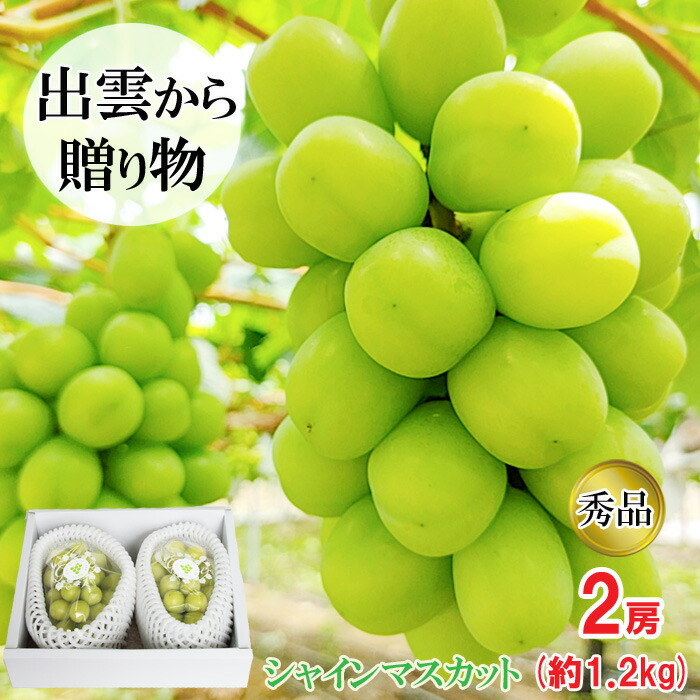 [農家直送]厳選シャインマスカット1.2kg箱[持田農園]