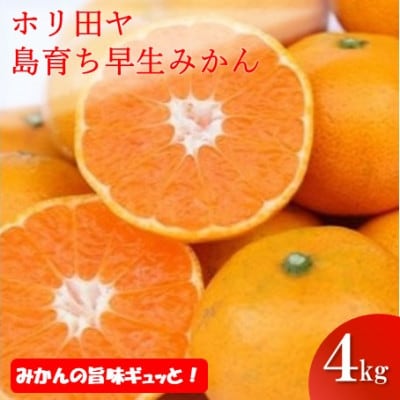 【先行予約】ホリ田ヤ 島育ち 早生みかん 4キロ【KB00940】【1655213】