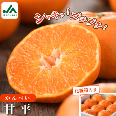 [先行受付]甘平 (化粧箱入) 高級柑橘 4L〜2L 8〜12玉 かんぺい KC00640