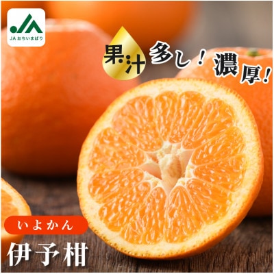 [先行予約]伊予柑 10kg いよかん 果汁たっぷり 家庭用 KB02080