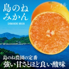 [愛媛県産]島のね農園 みかん5kg[KB01630]