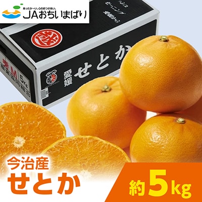 【先行予約】せとか 5kg 家庭用 柑橘 柑橘の大トロ KC00770【配送不可地域：離島】【1304862】