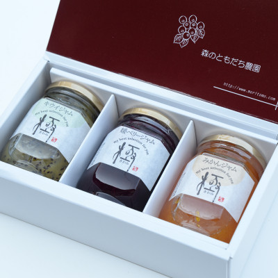 3種の極ジャムセット【C90】【1049211】