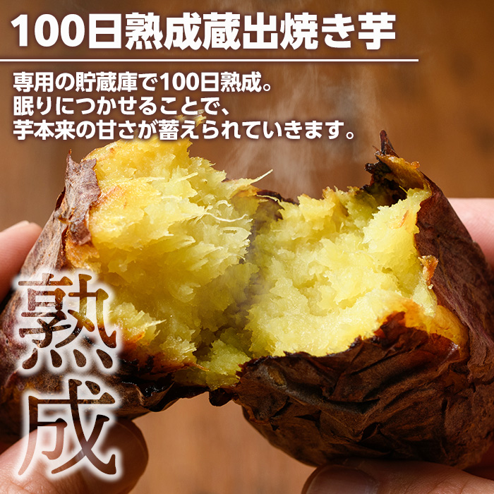 南九州産紅はるか食べ比べ(合計1.3kg) 阿久根市 国産 九州産 特産品 熟成 さつまいも サツマイモ 薩摩芋 紅はるか 焼き芋 蒸し芋 スティック  干し芋【海連】a-12-35 | 鹿児島県阿久根市 | JRE MALLふるさと納税