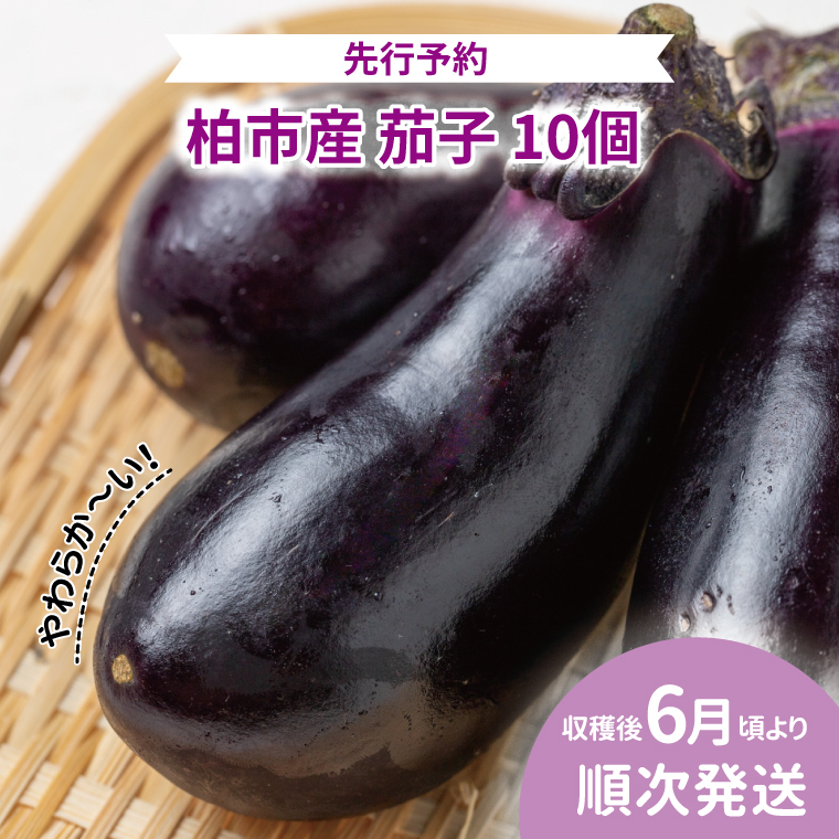 AF-66A 柏市産やわらか茄子 10個