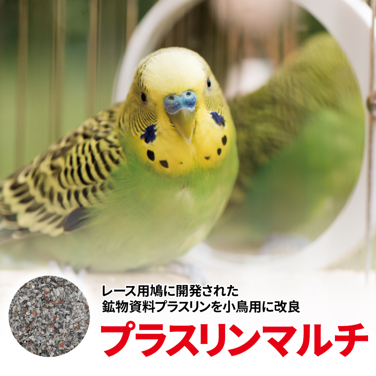 プラスリンマルチ 小鳥用