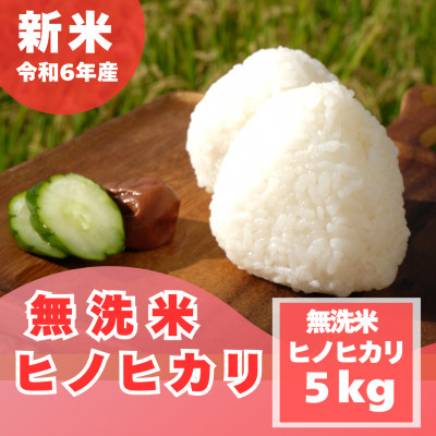 [令和6年産 新米][無洗米]奈良県産 ヒノヒカリ 5kg