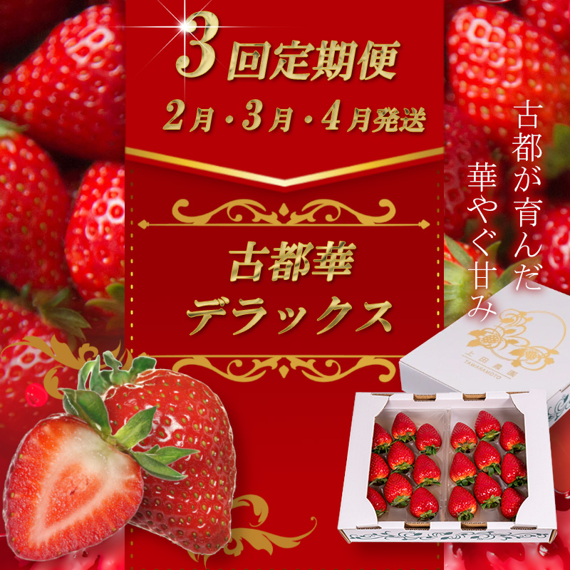 (冷蔵)【定期便全3回】(2月・3月・4月)イチゴ 奈良県産高級ブランド品種「古都華」デラックス(270g×2パック) / 上田農園 苺 いちご 果物 フルーツ 甘い 奈良県 田原本町