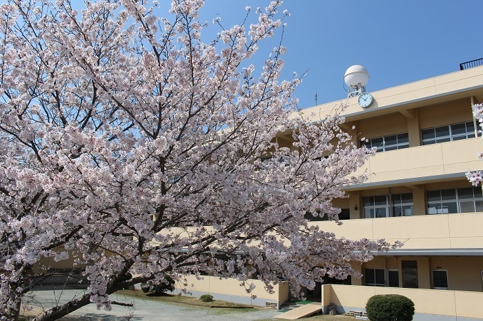 【学校応援ふるさと寄附金】田原本町立東小学校(返礼品なし)5,000円
