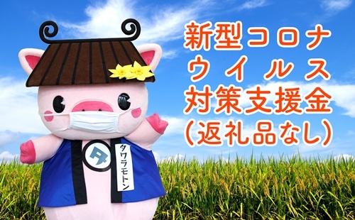 奈良県田原本町 新型コロナウイルス感染症対策寄附金《100,000円》(返礼品はございません)