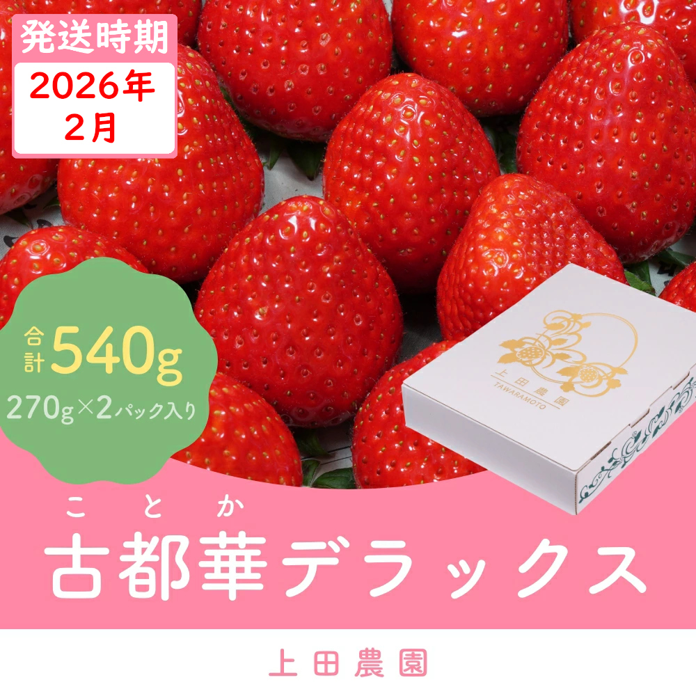 （冷蔵）【２月発送分】イチゴ 奈良県産高級ブランド品種「古都華」デラックス（270g×２パック） ／ 上田農園 苺 いちご 果物 フルーツ 甘い 奈良県 田原本町