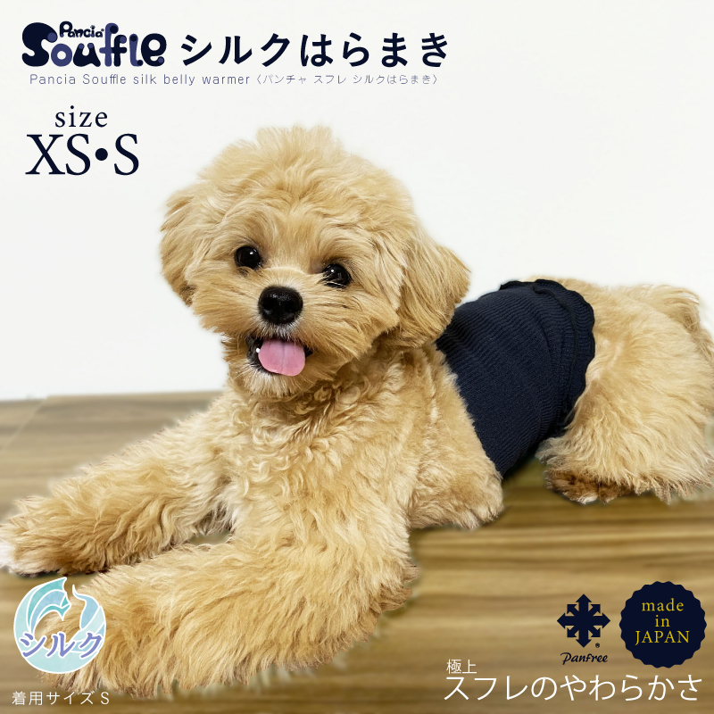日本製 pancia Souffle シルク 腹巻 Sサイズ 【アイボリー×キャメル＋ラベンダー】 犬用 ／ まちづくり観光振興機構 ドッグウェア ペット服 ペット腹巻 奈良県 田原本町