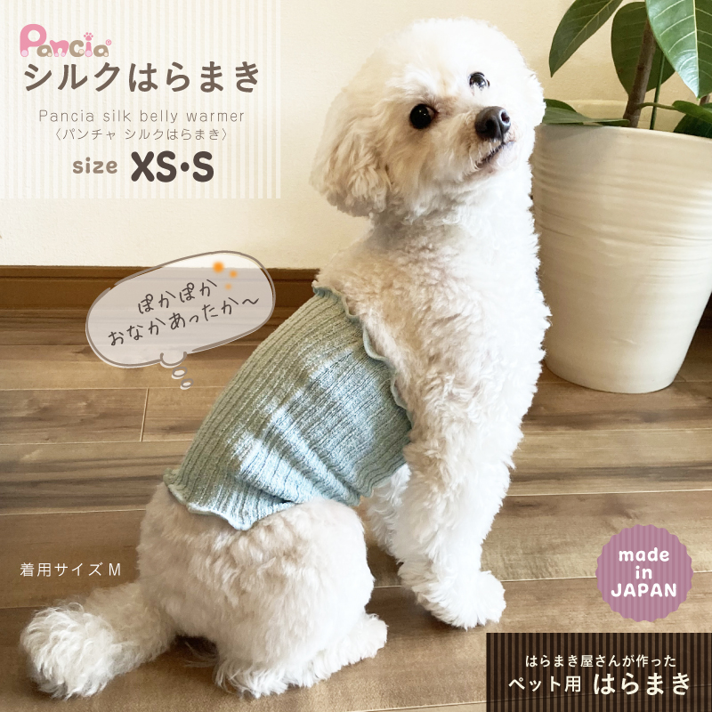 日本製 pancia シルク 腹巻 Sサイズ 【ベージュ＋ブラウン】 犬用 ／ まちづくり観光振興機構 ドッグウェア ペット服 ペット腹巻 冷え防止 ドッグシャツ 奈良県 田原本町