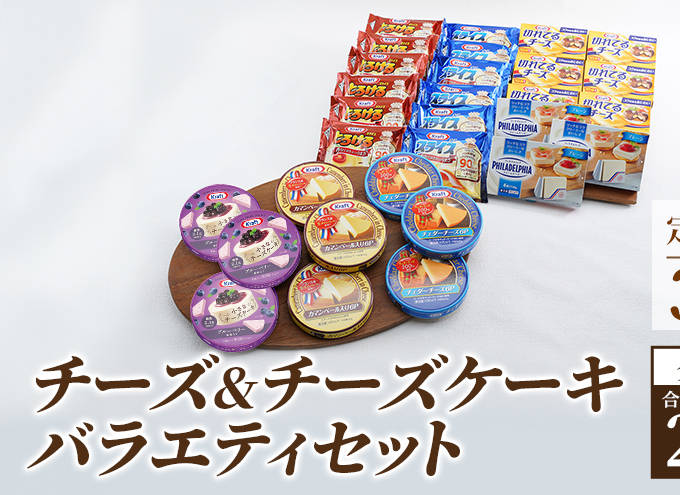チーズ&チーズケーキセット 定期便 3ヶ月 クラフトチーズ バラエティ 20個 セット 詰め合わせ カマンベールチーズ クリームチーズ スライスチーズ 乳製品
