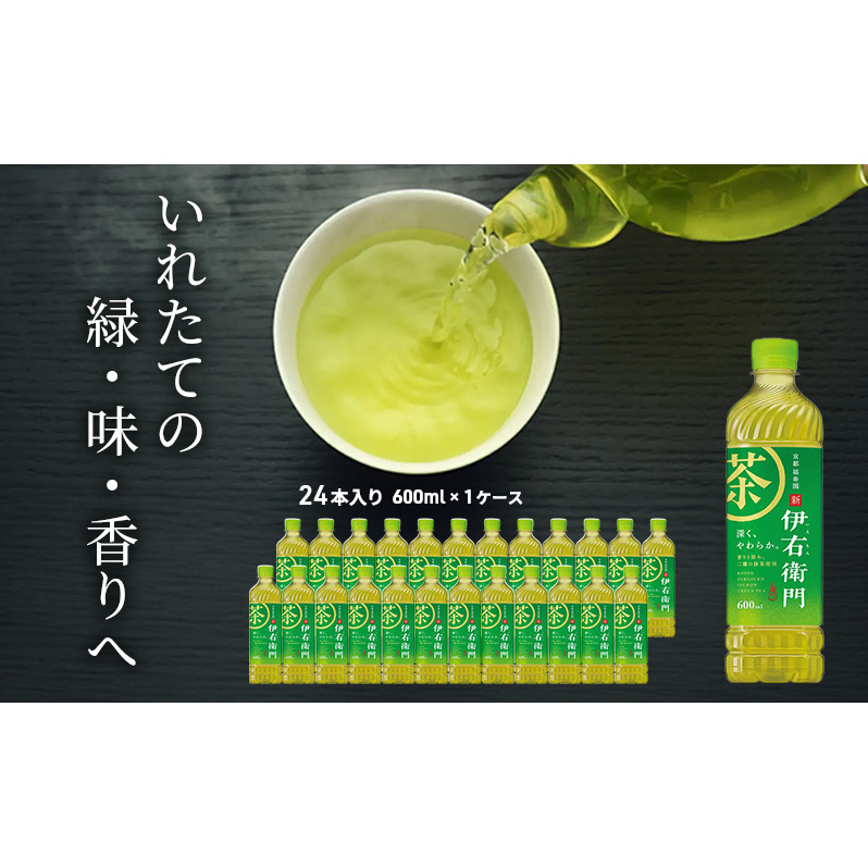 お茶 サントリー 緑茶 伊右衛門 600ml×24本 ペットボトル 神奈川県綾瀬市 JRE MALLふるさと納税