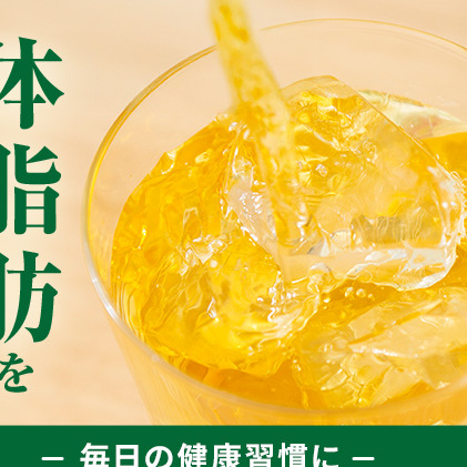 お茶 定期便 2ヶ月 伊右衛門 特茶 500ml × 24本 サントリー 特定保健用食品 トクホ 緑茶 ペットボトル 500 茶 日本茶 国産 トクホ茶 飲料 飲み物 ドリンク ペットボトル飲料 箱 ケース 脂肪 体脂肪 減らす 神奈川 神奈川県 綾瀬市 定期 2回