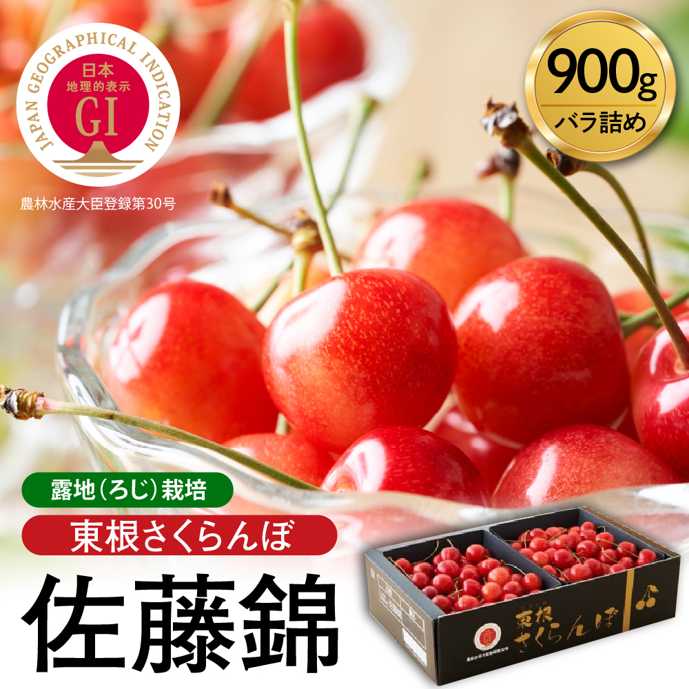 2025年産 先行予約】GI 「東根さくらんぼ」佐藤錦 900g バラ詰め JA園芸部提供 山形県 東根市 hi001-028 | 山形県東根市 |  JRE MALLふるさと納税