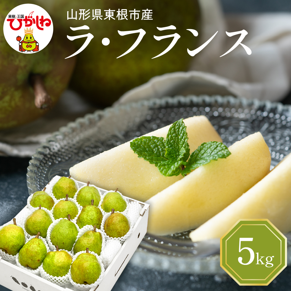【令和7年産 先行予約】西洋梨ラフランス5kg 山形県 東根市 東根農産センター提供 hi027-194-1