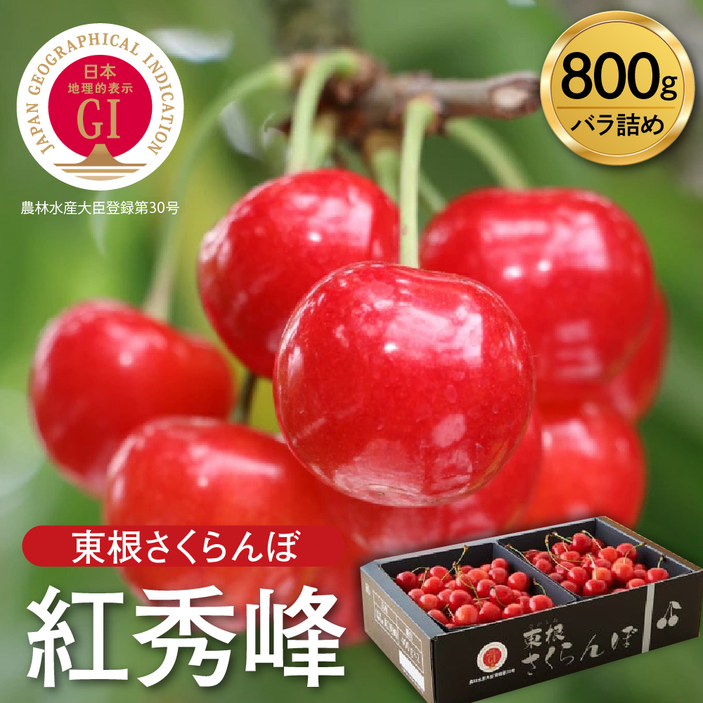 [2026年産 先行予約]GI 「東根さくらんぼ」紅秀峰 800g バラ詰め JA園芸部提供 山形県 東根市 hi001-040